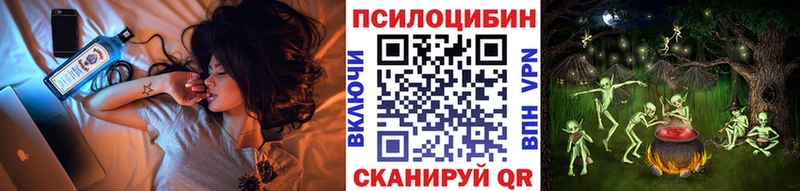 купить  сайты  Гурьевск  Псилоцибиновые грибы Magic Shrooms 